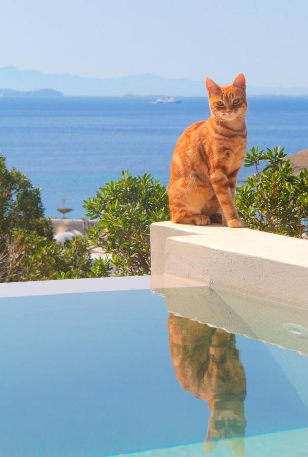 Villa With View Of Agios Ioannis And Pool With Jacuzzi 외부 사진